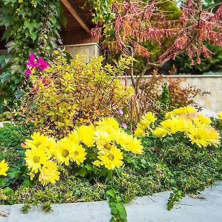 Apartment Mountain Escape & View & Relax